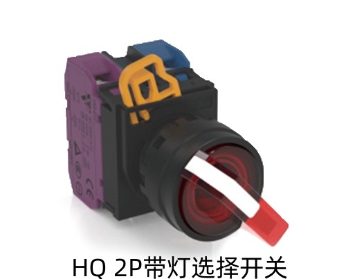 HQ 2P带灯选择开关.jpg